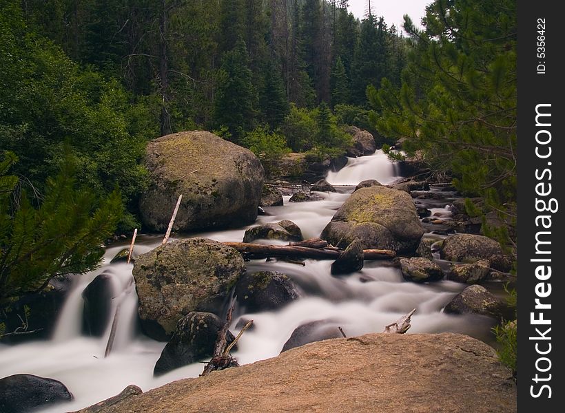 The white rushing St. Vrain River racing through the green forests of Rocky Mountain National Park. The white rushing St. Vrain River racing through the green forests of Rocky Mountain National Park.