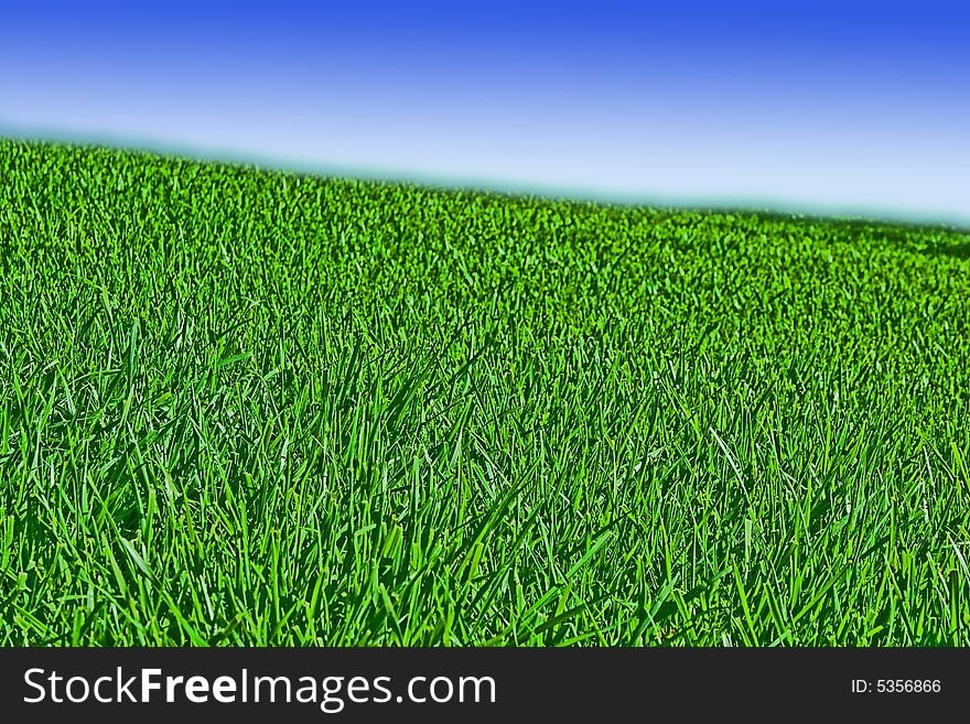 Green grass and blue sky. Green grass and blue sky