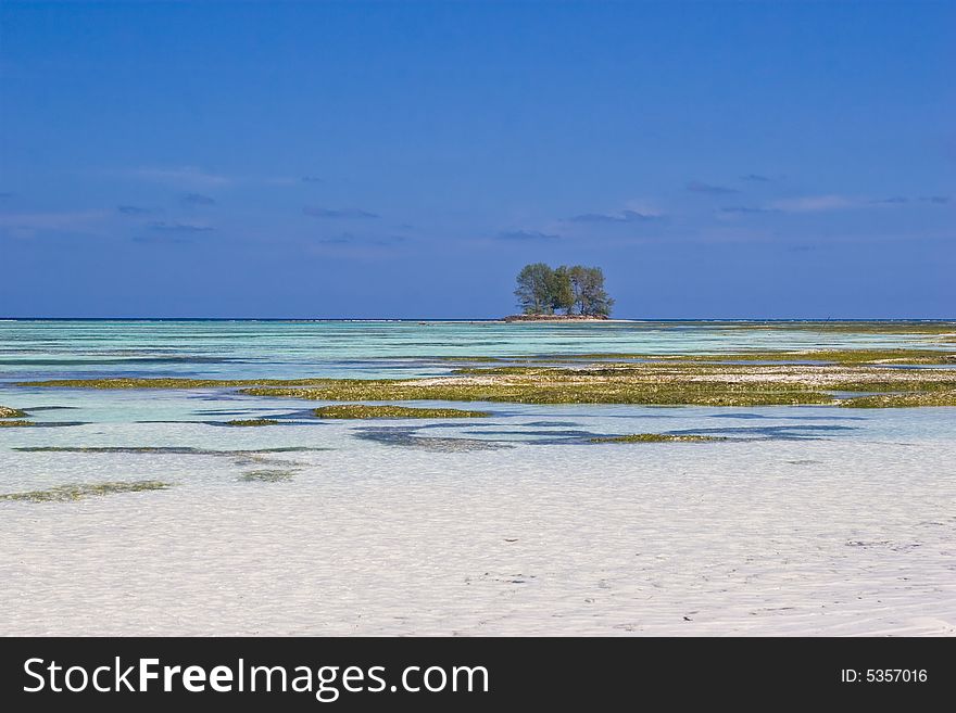 The shore of La Digue island, Seychelles. The shore of La Digue island, Seychelles