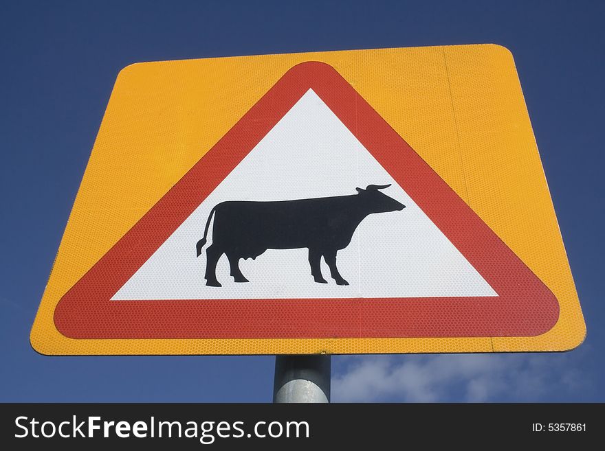 Cows crossing road sign