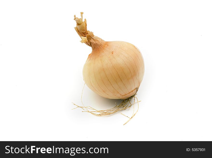 One onion isolated on white background