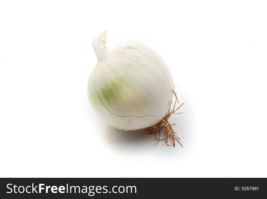 One white onion isolated on white background