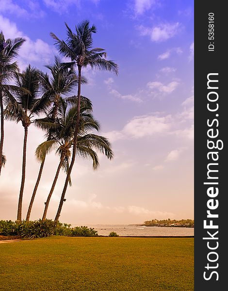 Beautiful tropical beach in Big Island, Hawaii