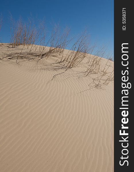 An image of sand dunes with tall grass and a blue sky