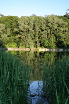 Lake In The Forest Stock Photo Lake In The Forest Stock Photo