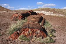 Petrified Forest NP Stock Photo Petrified Forest NP Stock Photo