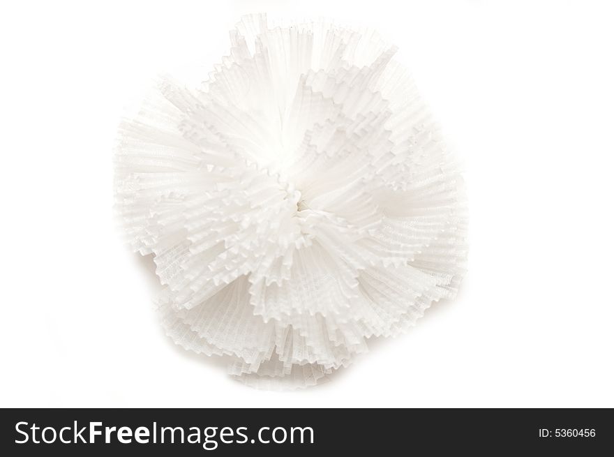 Hair-pin on the white isolated background