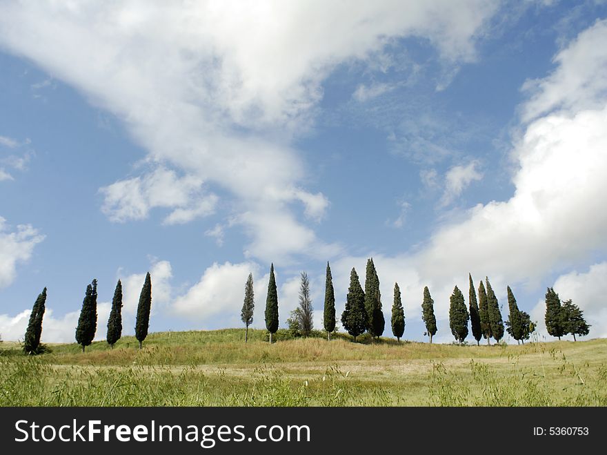 Typical Tuscany landscape with blue cloudy sky and cypresses. Typical Tuscany landscape with blue cloudy sky and cypresses