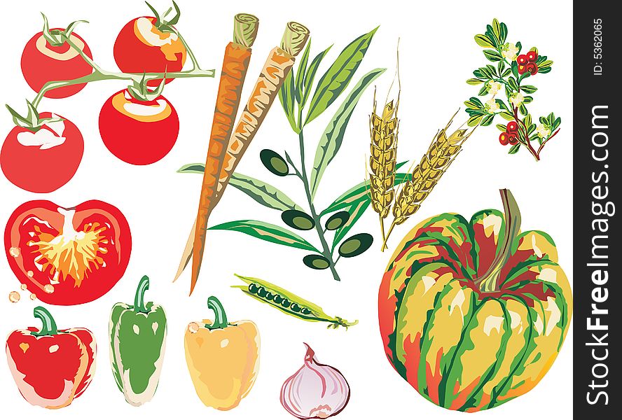 Illustration with different vegetables collection isolated on white background