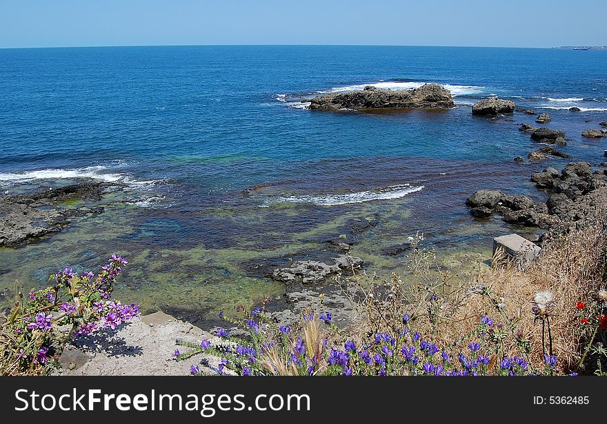 Waves breaking white on the rocky shore of the blue sea viewed behind blue, purple, and red wild flowers. Black sea shore. Waves breaking white on the rocky shore of the blue sea viewed behind blue, purple, and red wild flowers. Black sea shore.