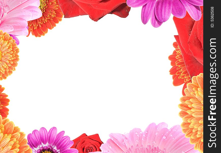 Frame with different colorful flowers on white background. Frame with different colorful flowers on white background