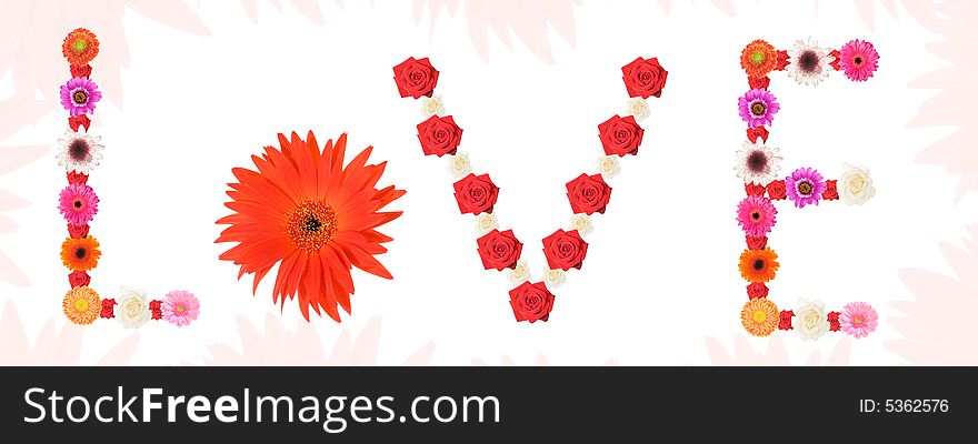Love written with colorful flowers on white background. Love written with colorful flowers on white background.