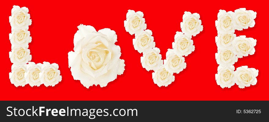 Collection of romantic red roses. Collection of romantic red roses