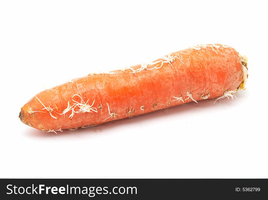 Greater carrots on a white background.
