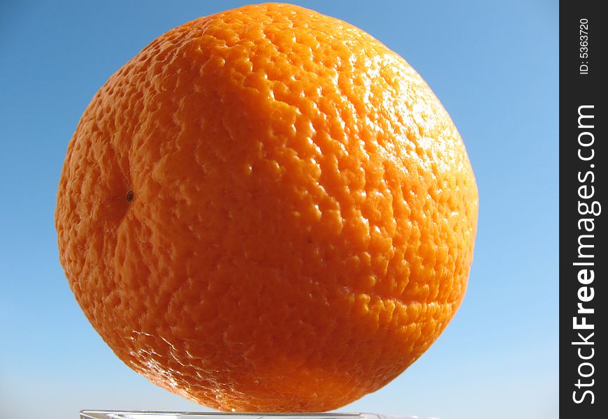 One orange on the blue sky background. Natural lighting.