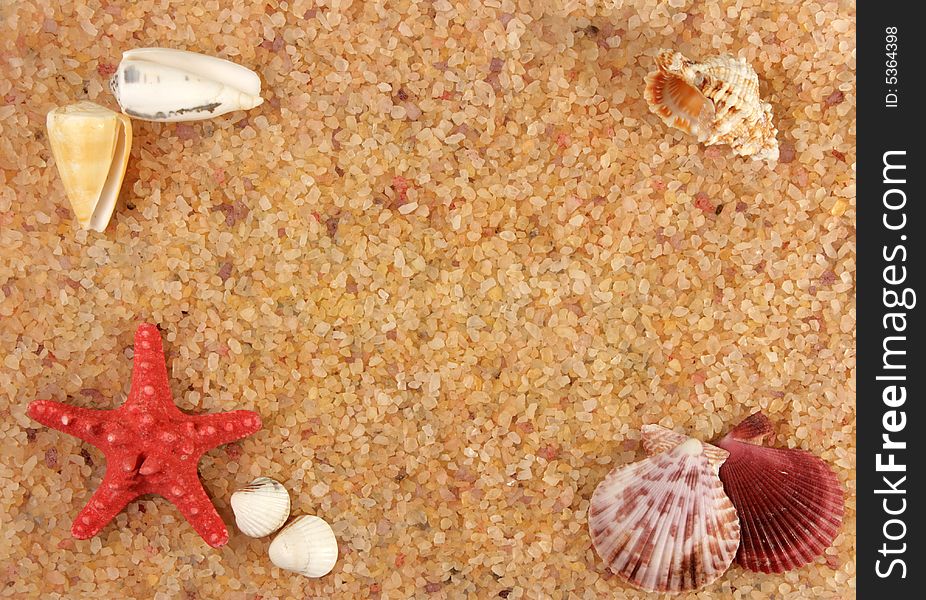 Starfish And Cockleshells On Seacoast