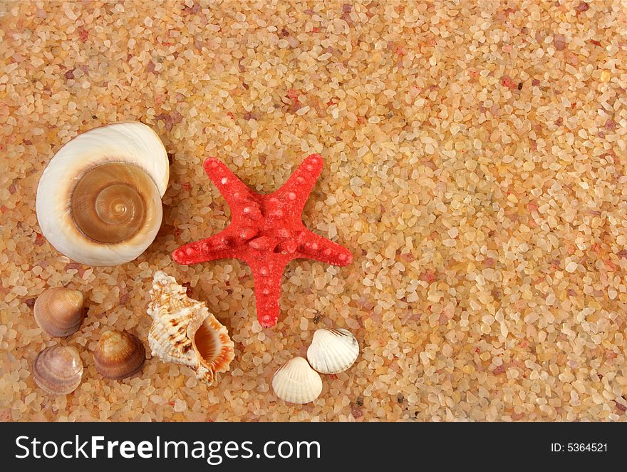 Starfish and cockleshells on seacoast, can be used as a background