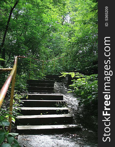 Concrete stairway in the middle of nature preserve park in Prague. Concrete stairway in the middle of nature preserve park in Prague.