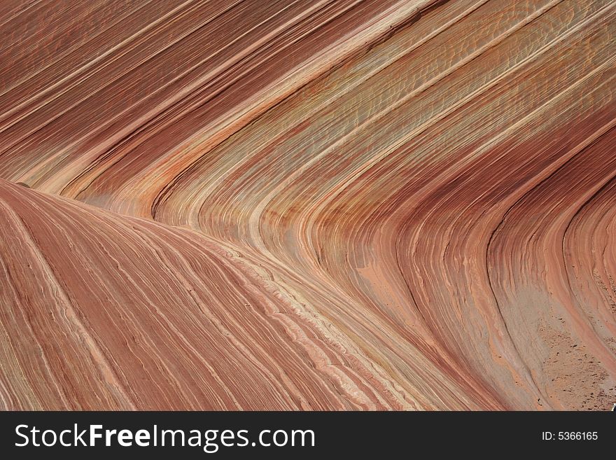 The Wave. Paria Canyon.