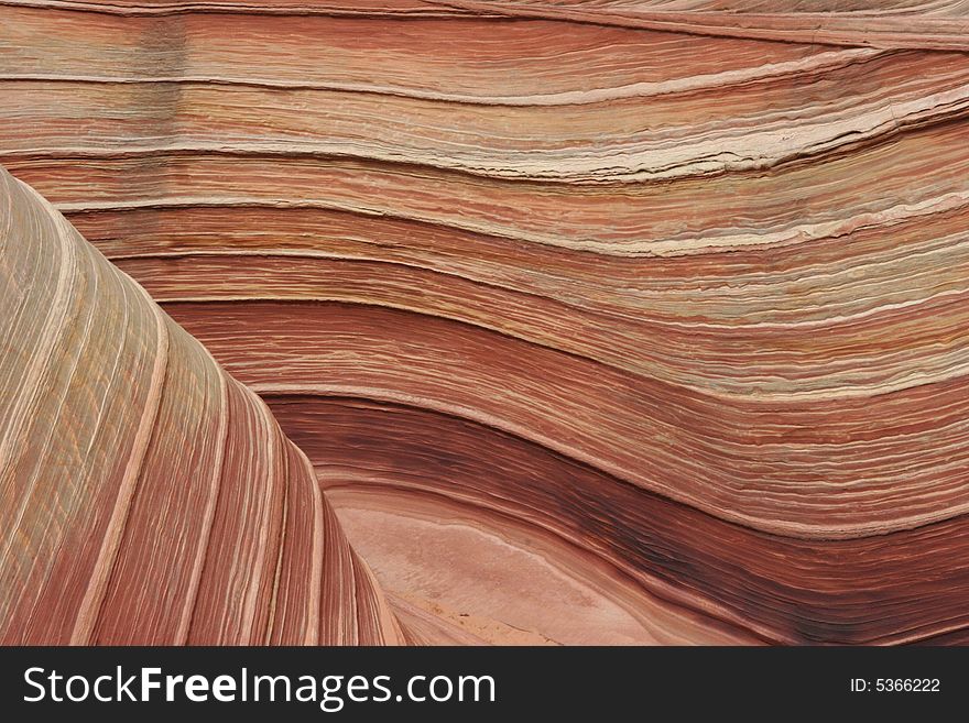 The Wave. Paria Canyon.