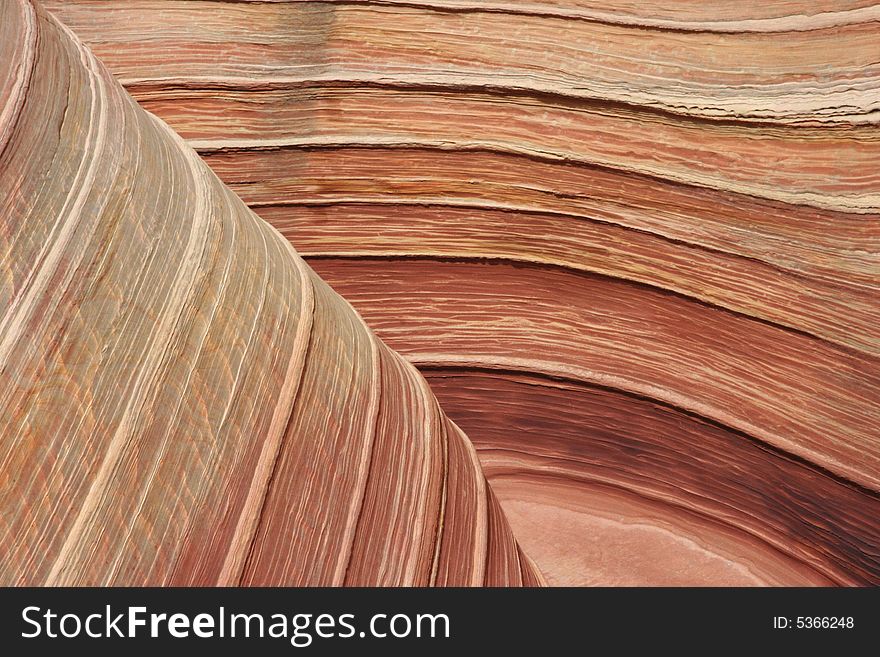 The Wave. Paria Canyon.