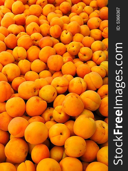 Abundant Supply of Farm Fresh Apricots