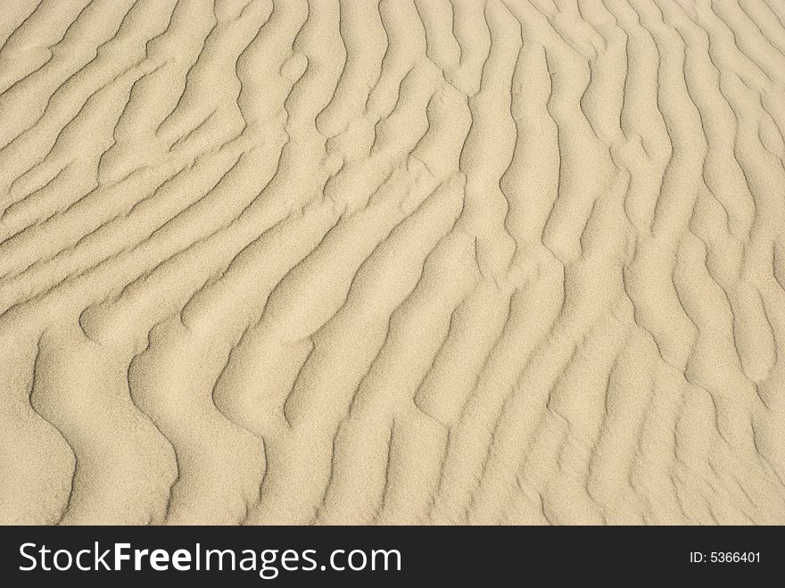 SANDY BEACH FOR  BACKGROUND AND TEXTURE. SANDY BEACH FOR  BACKGROUND AND TEXTURE