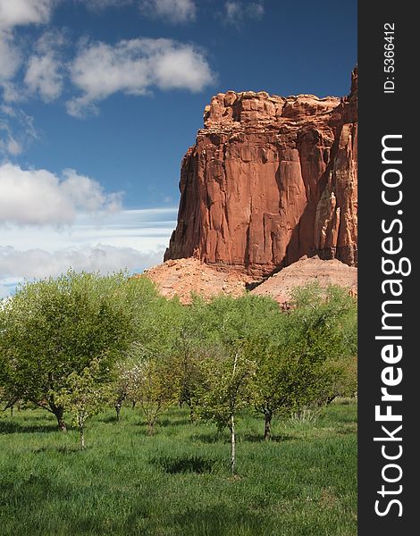 Capitol Reef National Park. Beautiful geologic features in background. Utah. USA