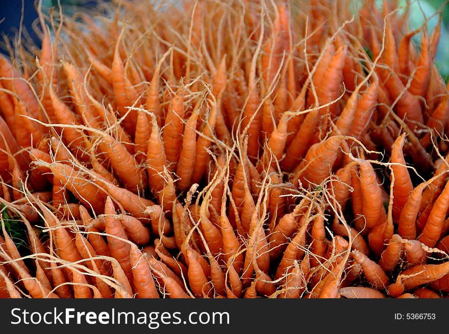 Farm Fresh Bunch of Carrots at Farmers Market