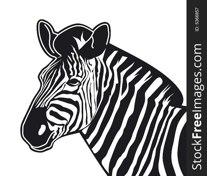 Vector illustration of zebra in black and white
