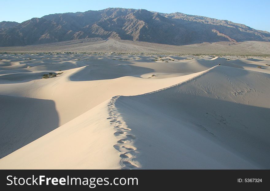 Footsteps in brink of sand hills. Death Valley national park. California. USA. Footsteps in brink of sand hills. Death Valley national park. California. USA