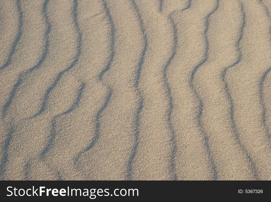 Endless sand ripples in Death Valley. Death Valley national park. California. USA
