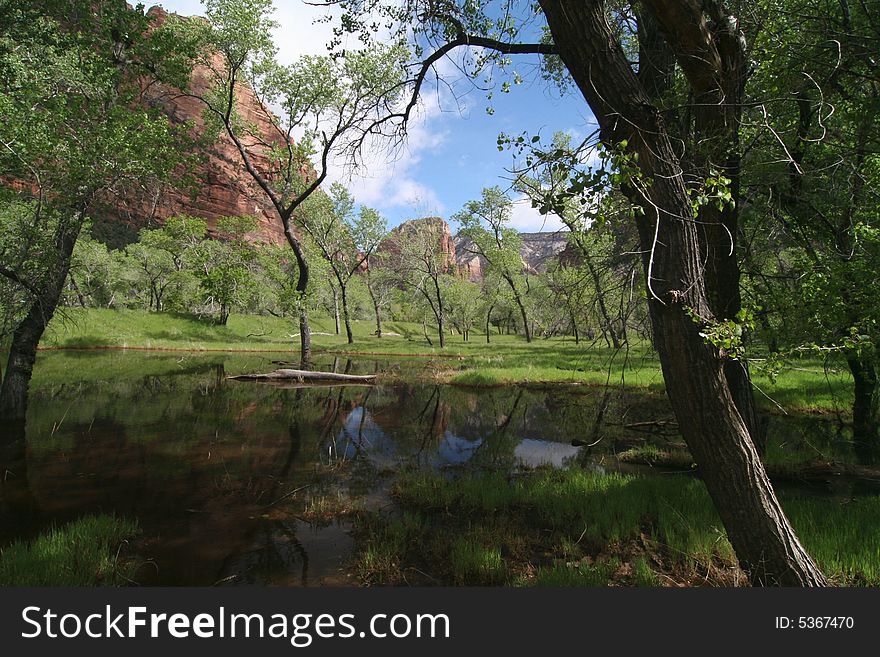 Standing water inside the red canyon reflecting mountains and trees. Zion National Park. Utah. USA. Standing water inside the red canyon reflecting mountains and trees. Zion National Park. Utah. USA