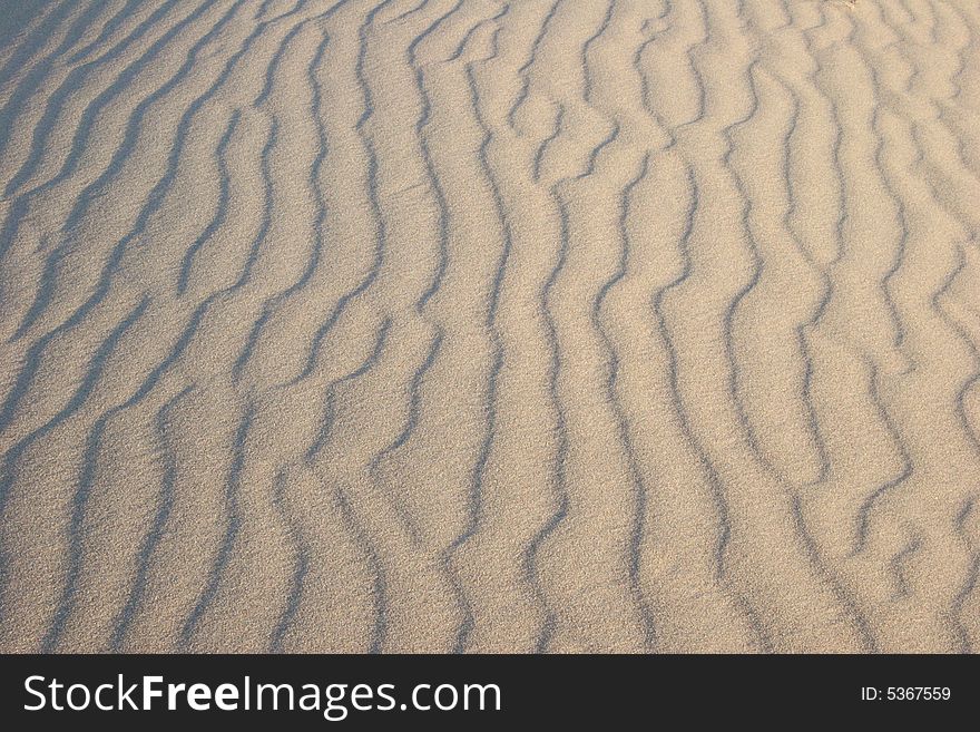 Endless Sand Ripples