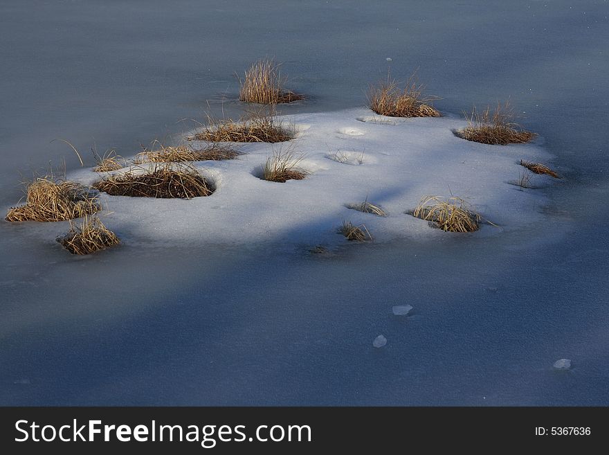 Lonely island in the frozen moor