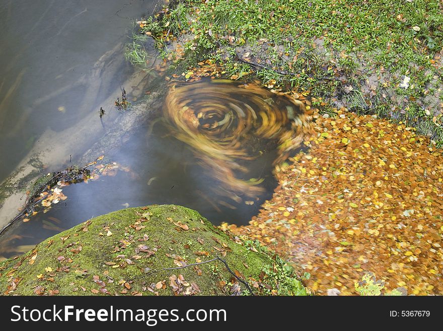 Colourful leaves in the river, making magic spiral. Colourful leaves in the river, making magic spiral