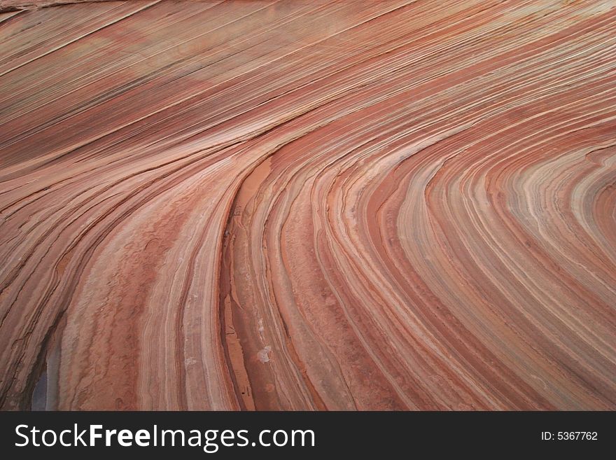 The Wave. Paria Canyon.