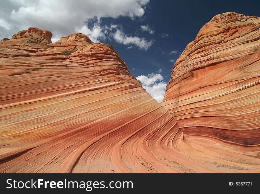 The Wave. Paria Canyon.