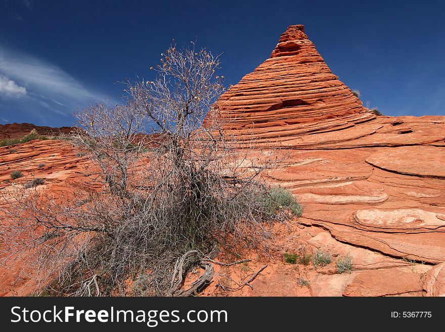 Sandstone Vermillion Cliffs