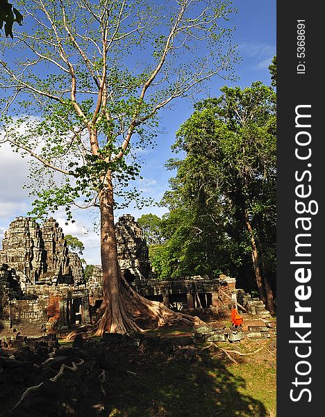 Cambodia, Angkor: The Preah Khan from 12th century it was a temple and a Buddhist university; the walls and pillars are decorated with mythological figures