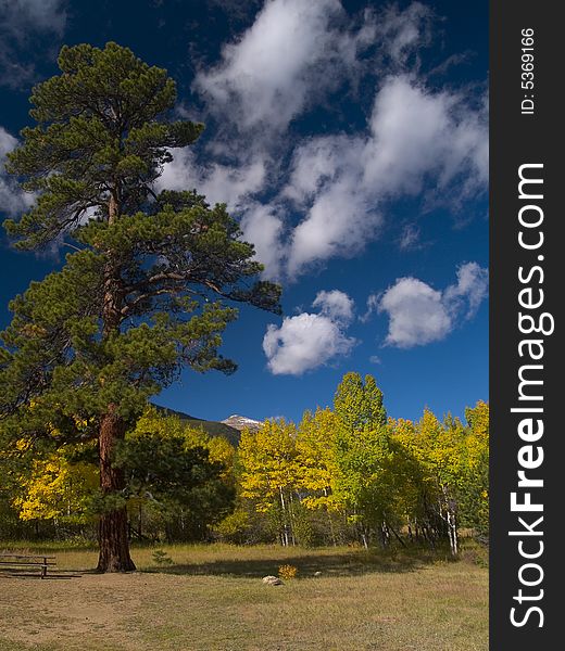 Near Endovalley Picnic Area, Rocky Mountain National Park. Near Endovalley Picnic Area, Rocky Mountain National Park.