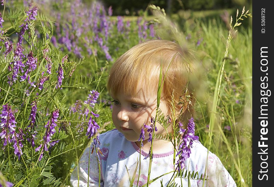 The cute little girl among field flowers. The cute little girl among field flowers