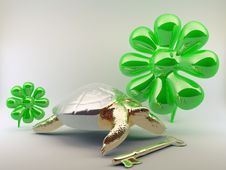 Turtle With Gold Key Royalty Free Stock Images