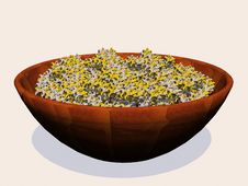 Popcorn Bowl Stock Image Popcorn Bowl Stock Image
