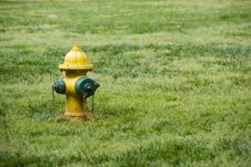 Fire Hydrant Yellow Green Royalty Free Stock Photo Fire Hydrant Yellow Green Royalty Free Stock Photo