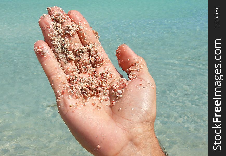 Hand holding sand and little corals. Hand holding sand and little corals