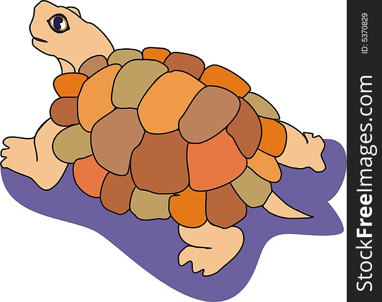 Orange-brown tortoise on a violet background