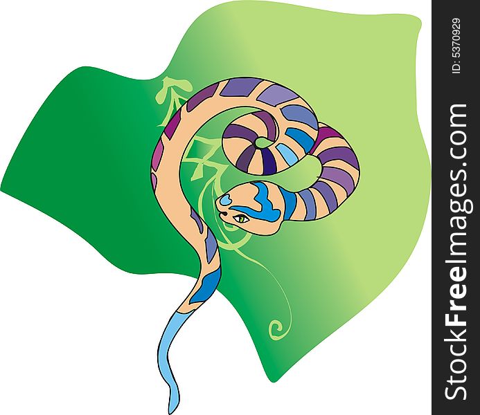 Coloured snake on a green sheet with a decorative pattern