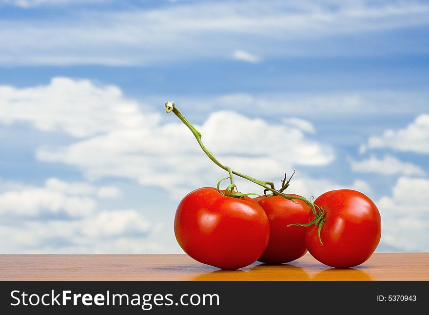 View of three nice big red tomatoes