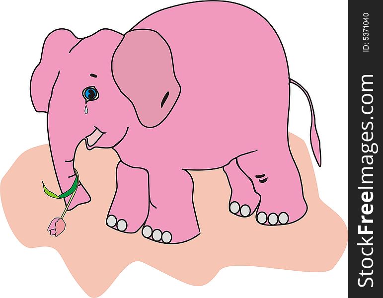 Elephant on a rose background with a flower on a crayon background